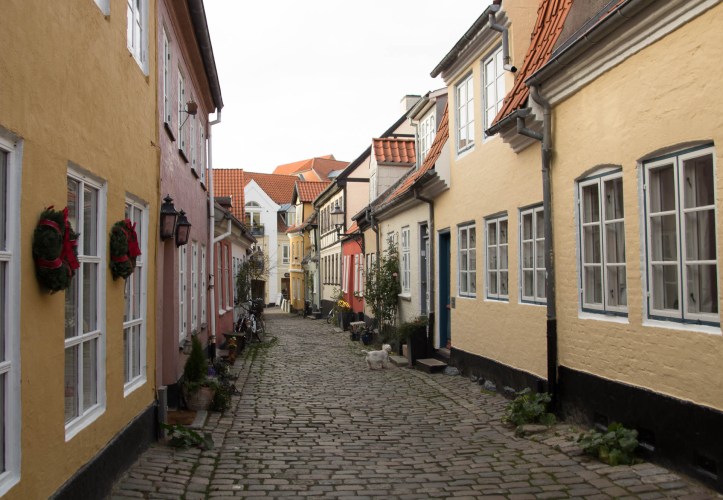 Aalborg_fall-1