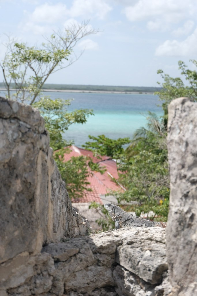 Guide to Bacalar