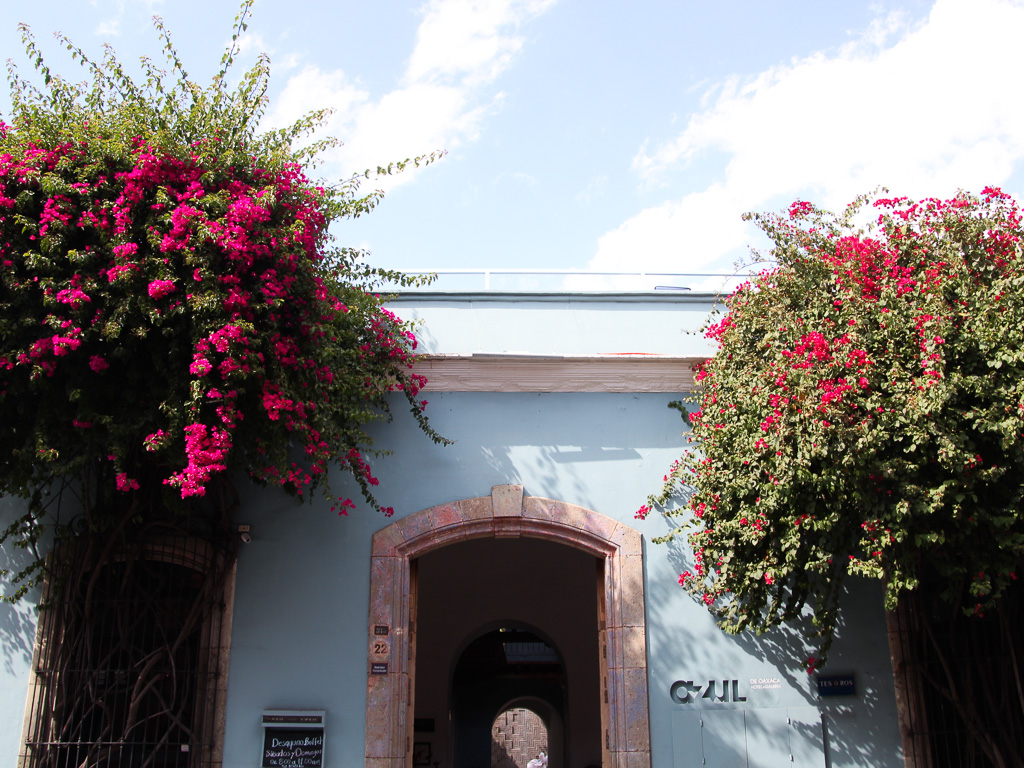 Hotel Casa Azul Oaxaca