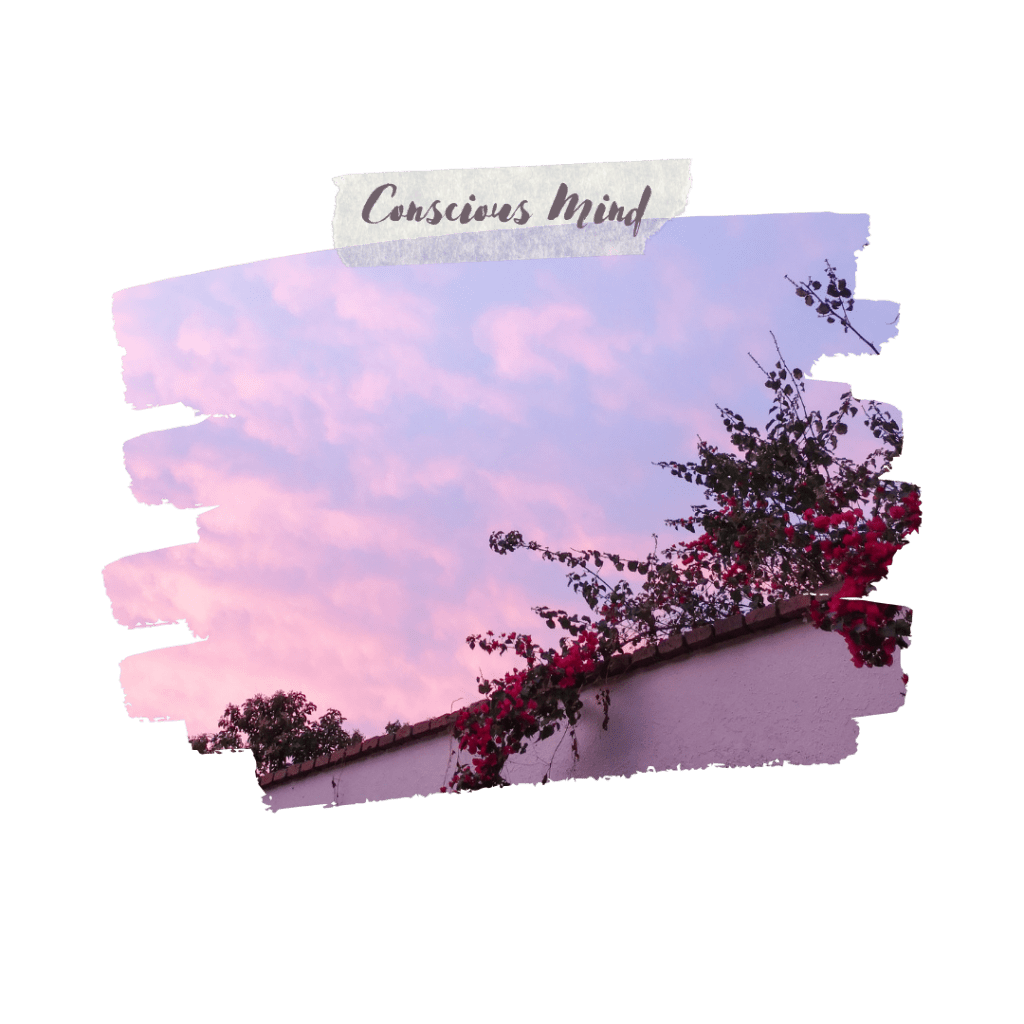 Conscious travel tips