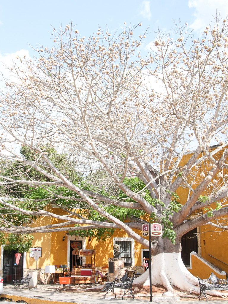 Izamal_Mexico_Advice